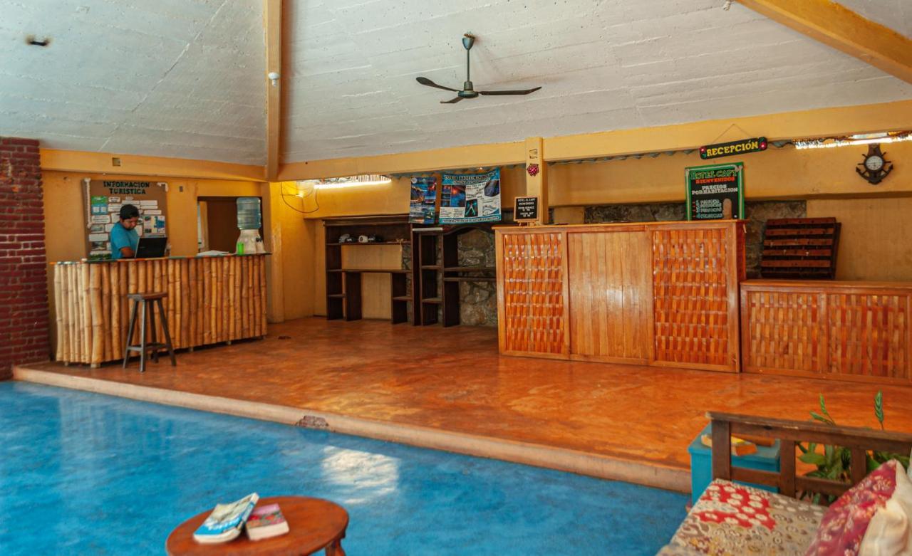 Hotel Capy Puerto Ángel 外观 照片